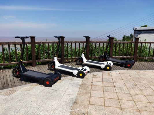 Rear Wheel 13 Inch 25km/H 3 Wheel Fitness Scooter