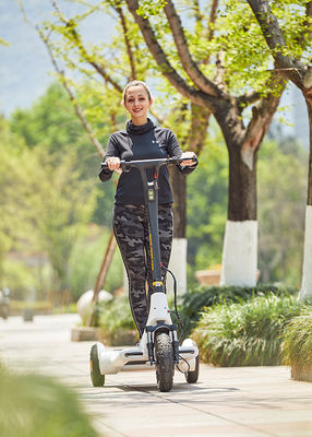 Aviation Magnesium Alloy 2h Charging Smart Kick Scooter