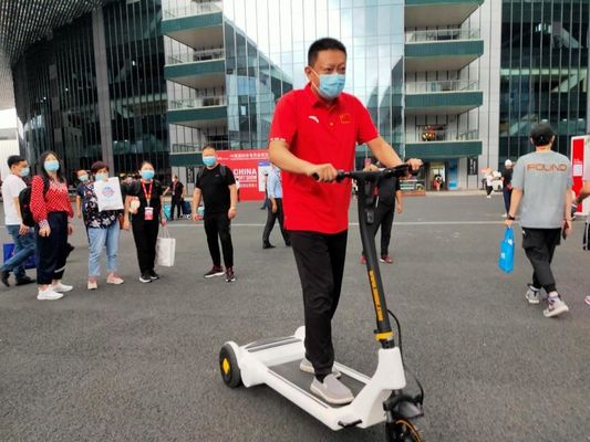 160cm Length 21km/H Painting Colors Electric Balance Scooter