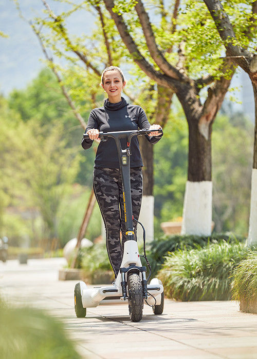 Aviation Magnesium Alloy 2h Charging Smart Kick Scooter